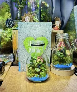 terrarium